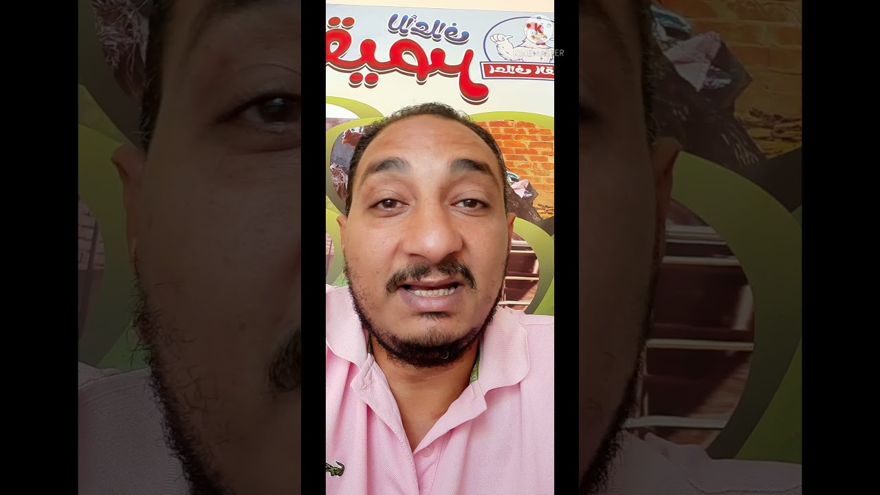 انقلاب الرحم😲 بروز بداية عنقود البيض😲 الفرخه صورمها طلع بره 😟🥺😲ما تتخضش😊 هنا هتلاقي العلاج 👍