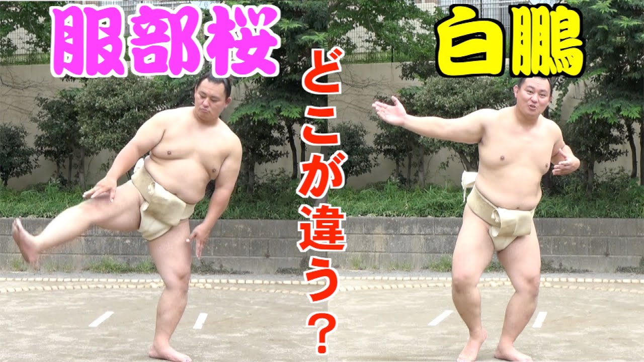 お相撲道場ぐっちー「誰も知らない力士の体づくりと正しい四股のやり方」