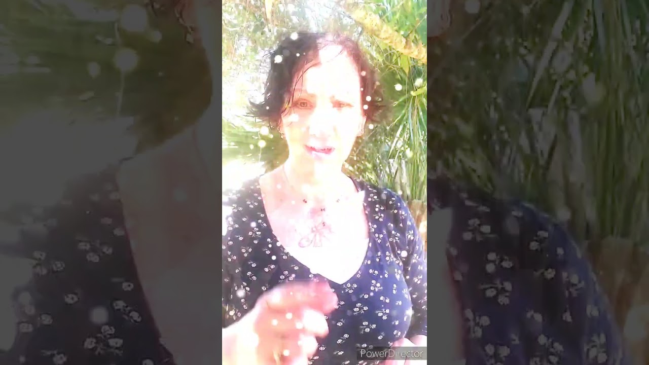 Discernment, Authenticity & Inner / Higher Guidance - Intuitive Lightlanguage
