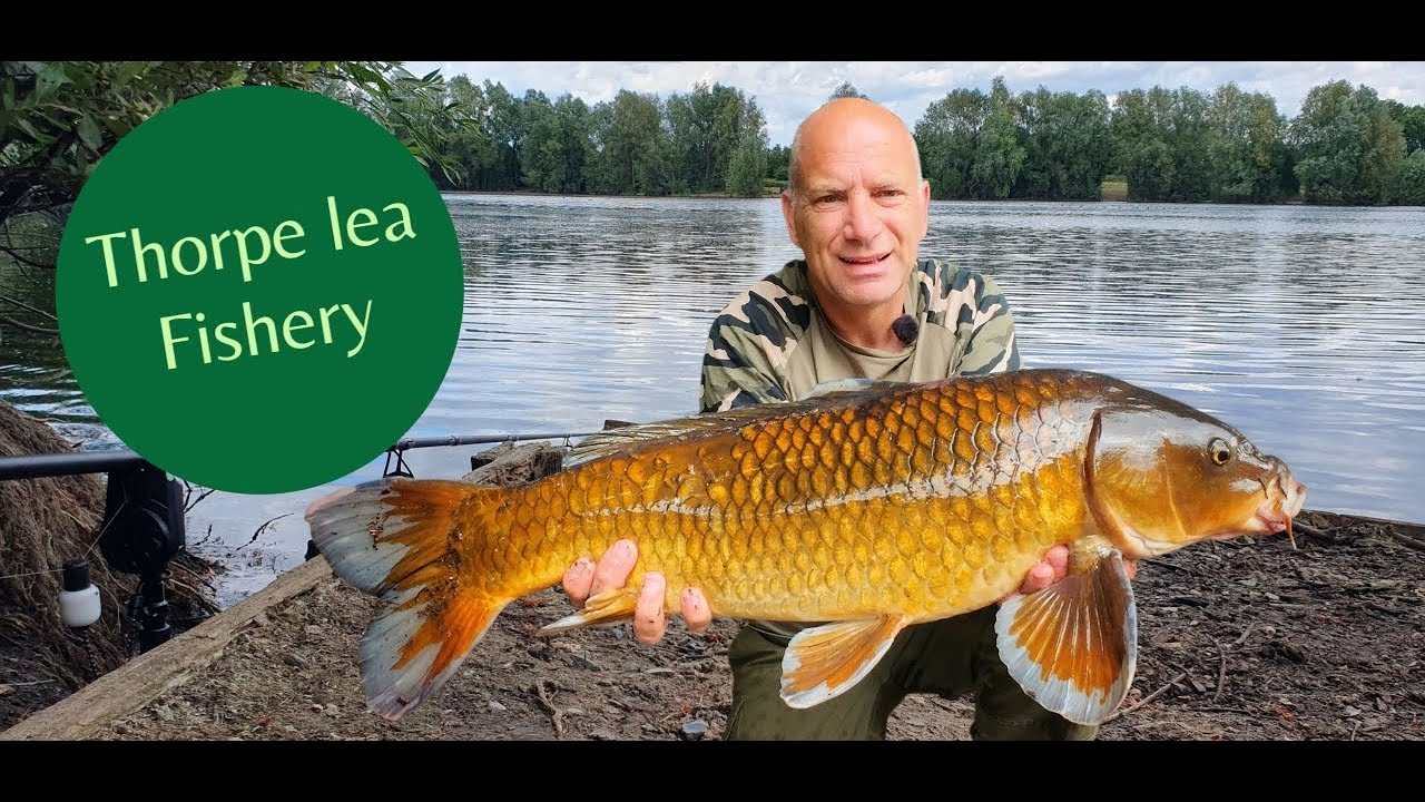 Carp fishing @Thorpe lea fishery in Surrey and giveaway competition winner announced.🎣👍