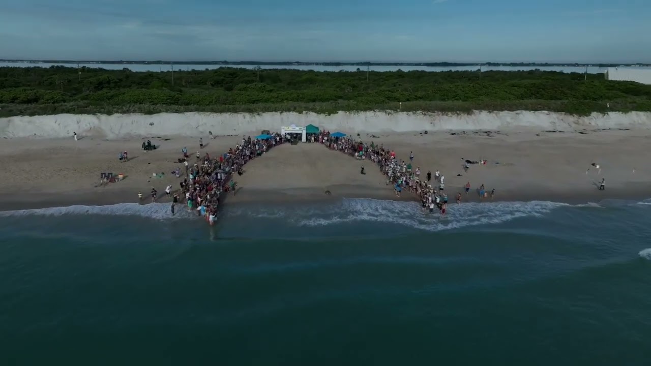 Tour de Turtles 2024 at the Archie Carr Refuge