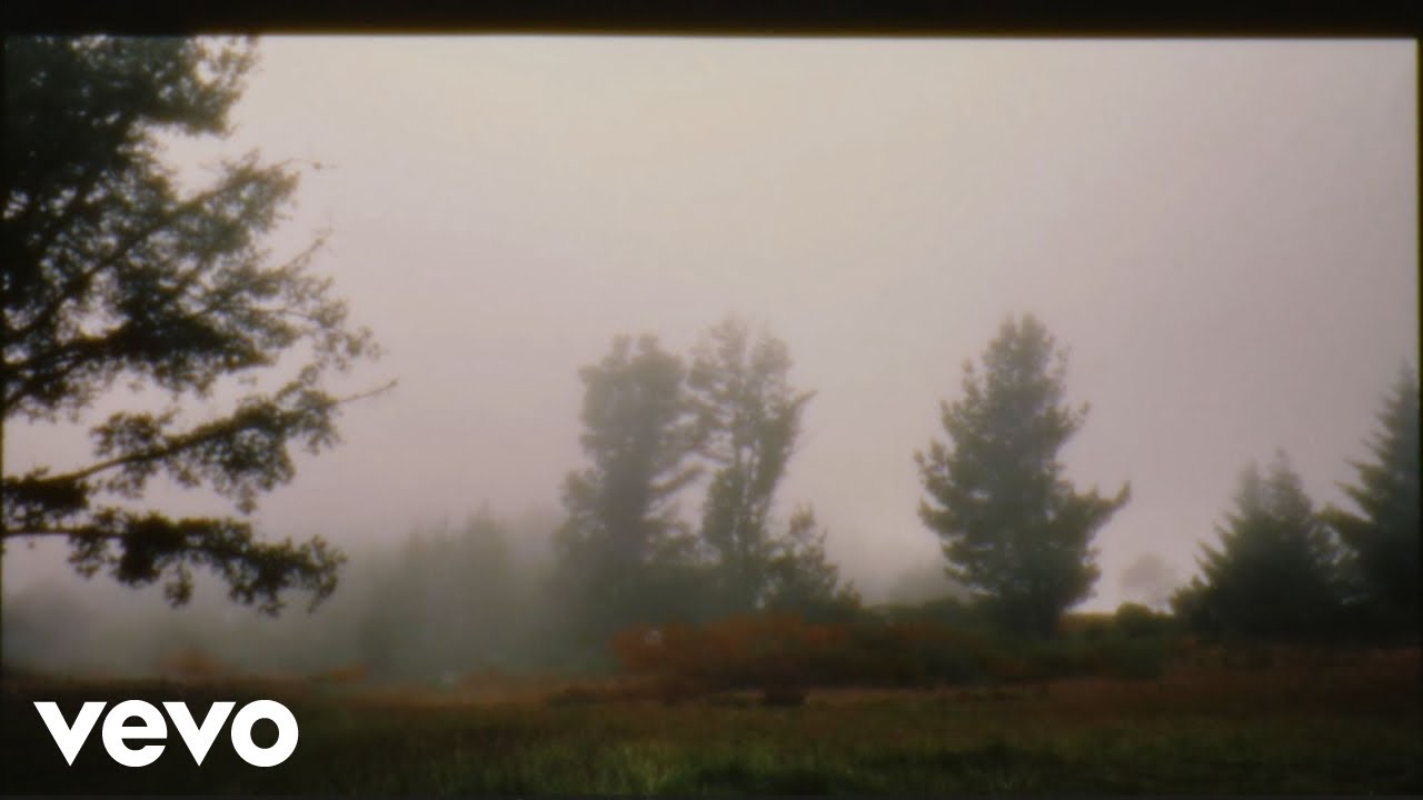 Ludovico Einaudi, Antonello Leofreddi - Einaudi: Password (Visualiser)