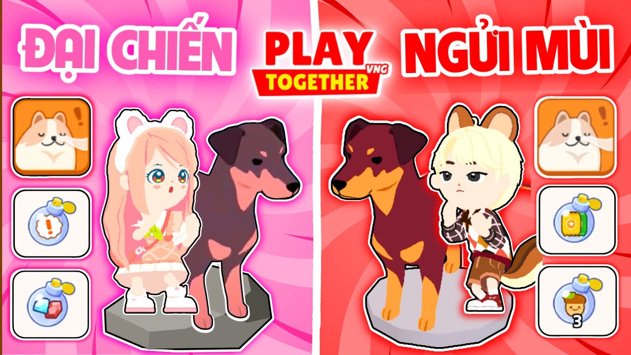 PLAY TOGETHER | BEDY SOLO THÚ CƯNG NGỬI MÙI CÙNG MEO VÀ CÁI KẾT