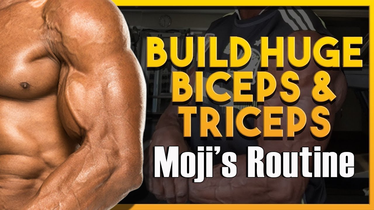 Biceps and Triceps Day with Moji