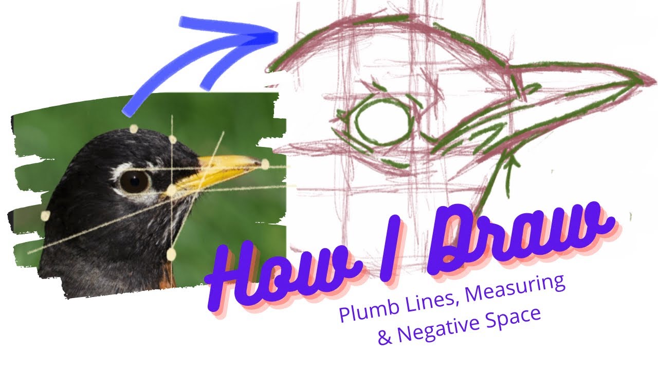 How I Draw: Plum Lines, Measuring & Negative Space