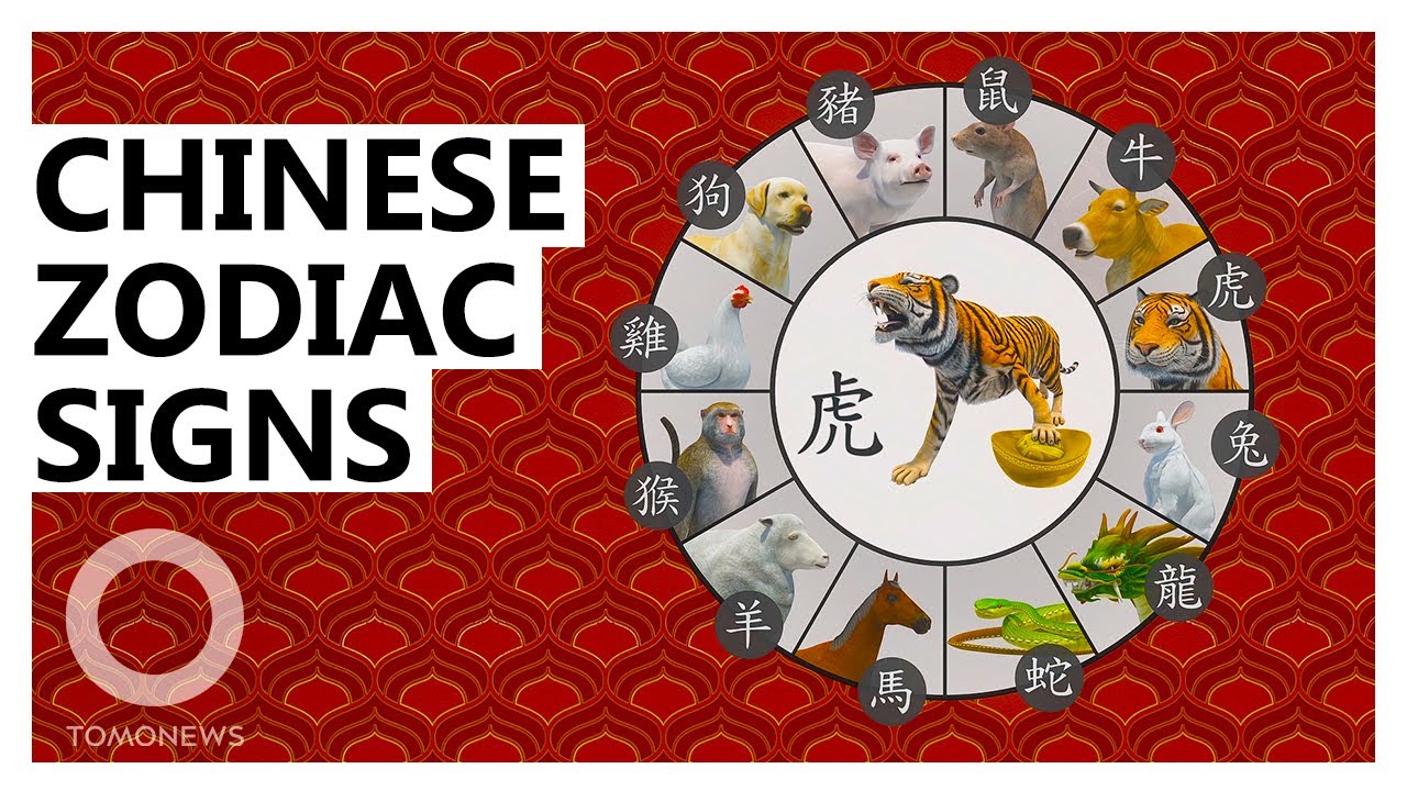 Chinese Zodiac Signs Explained (Personality Traits, Best Love Matches)
