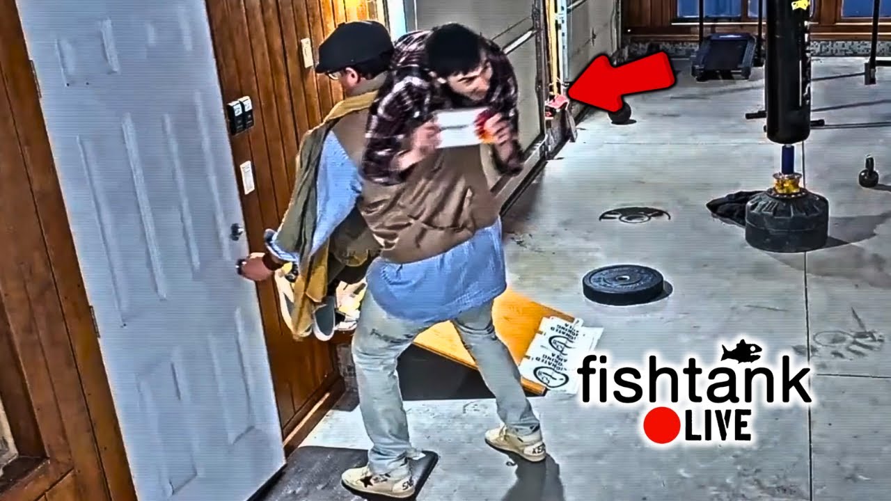 Sam Hyde (Jeremy Gold) REMOVES Ted From the Famous House (Fishtank Season 3)