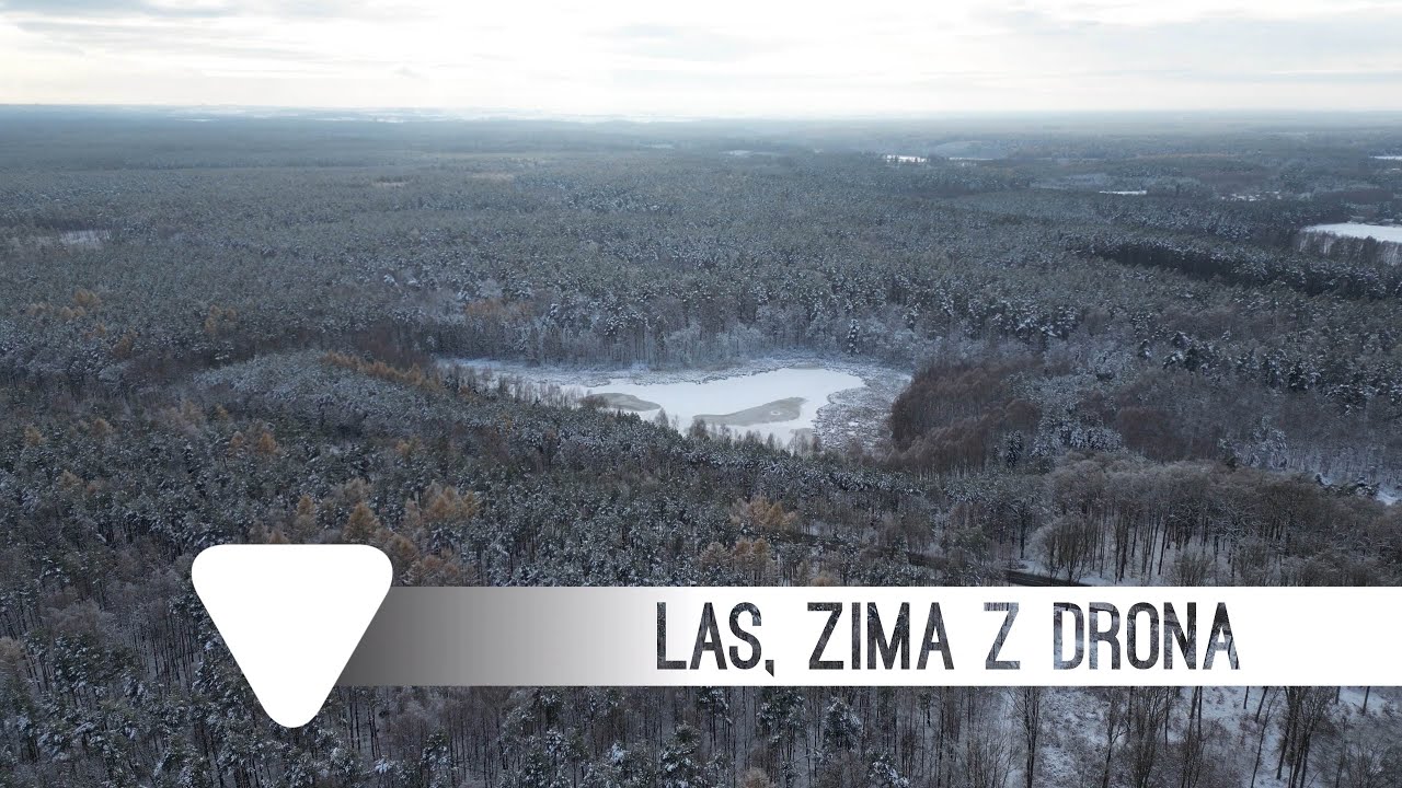 Iława 2024 . Dron 4K. Las, zima z drona
