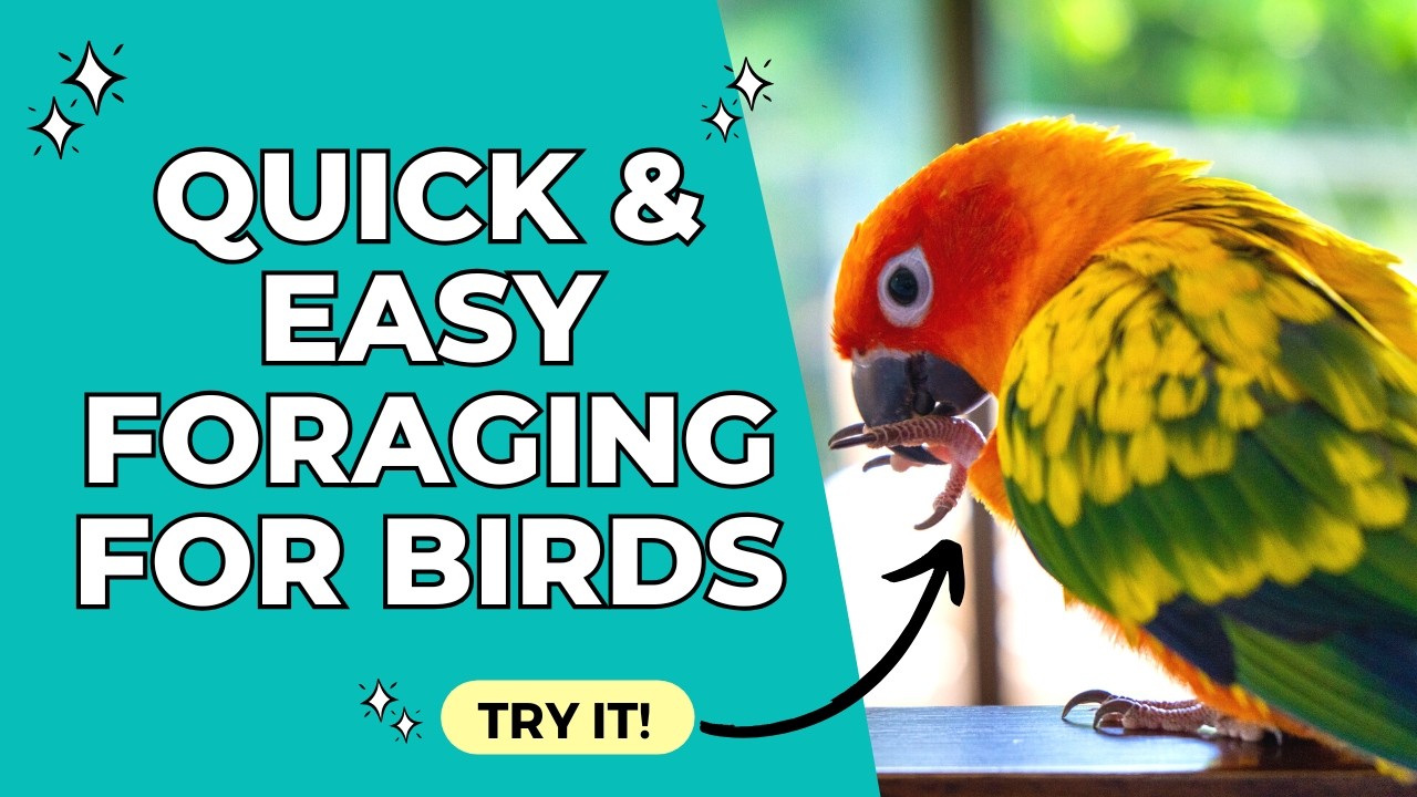 Free & Easy Foraging Ideas for Parrots 🦜
