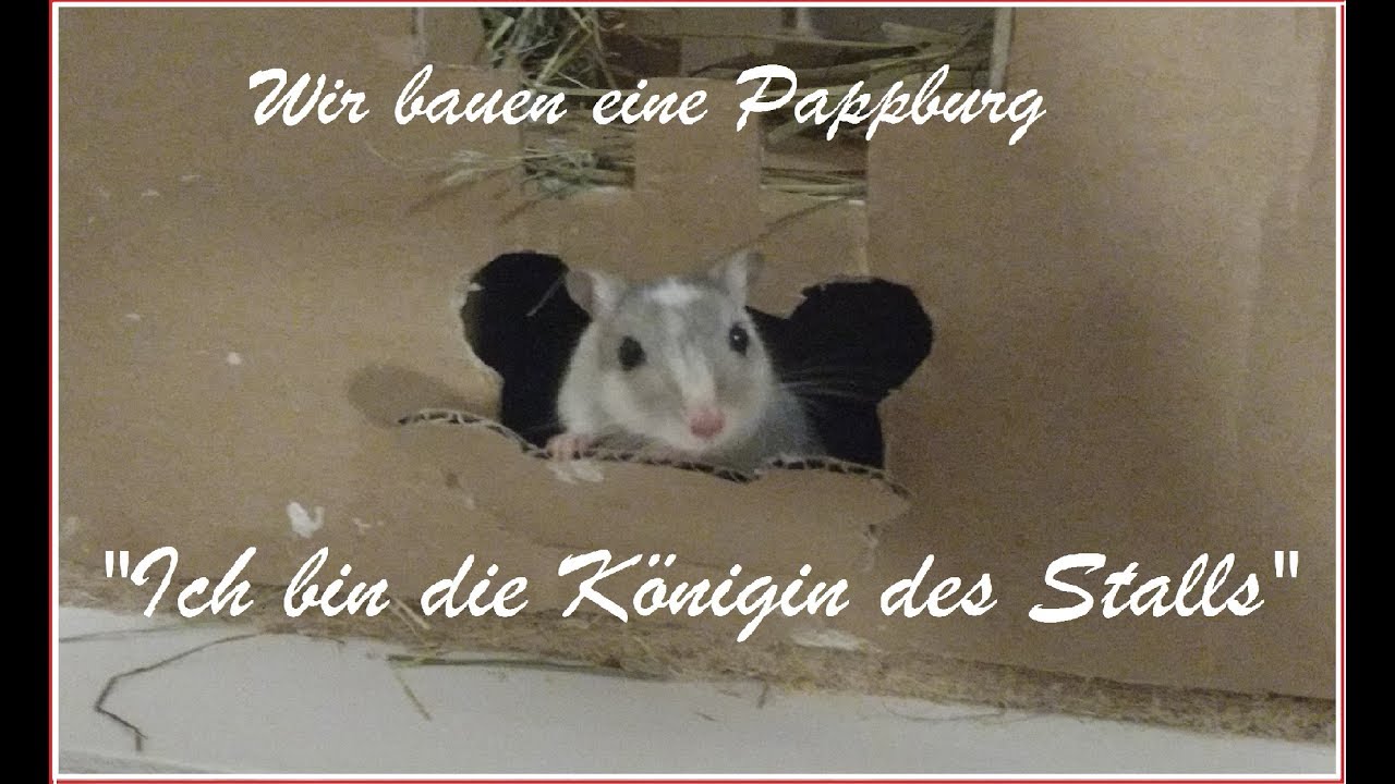 Papp-Nagerburg basteln   |  Tutorial   |MyMice