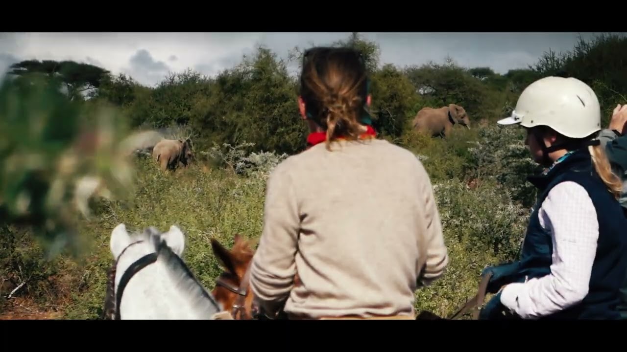 SAFARI A CAVALLO IN TANZANIA - ARUSHA NATIONAL PARK