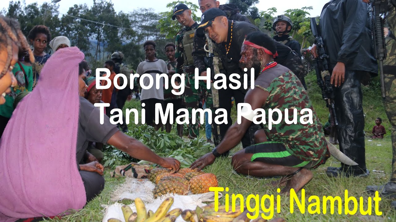 Borong Hasil Tani Mama Papua, Satgas Yonif 112/Dharma Jaya Tumbuhkan Perekonomian di Puncak Jaya