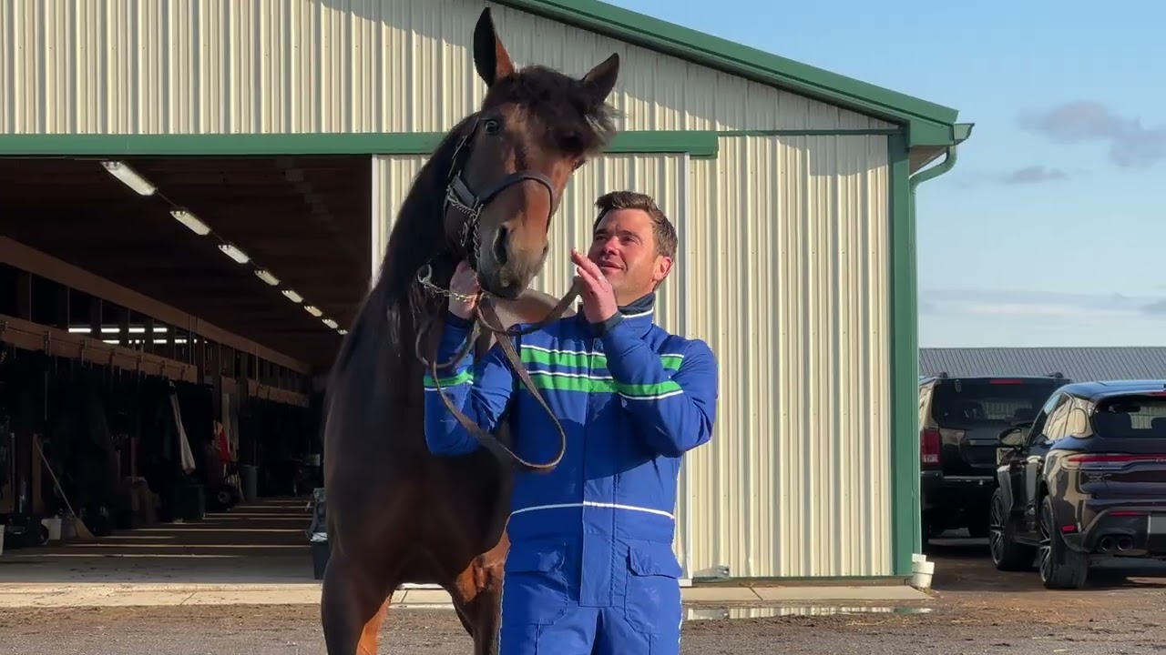 2025 USTrotting --Top Contenders  --  Trainer Noel Daley
