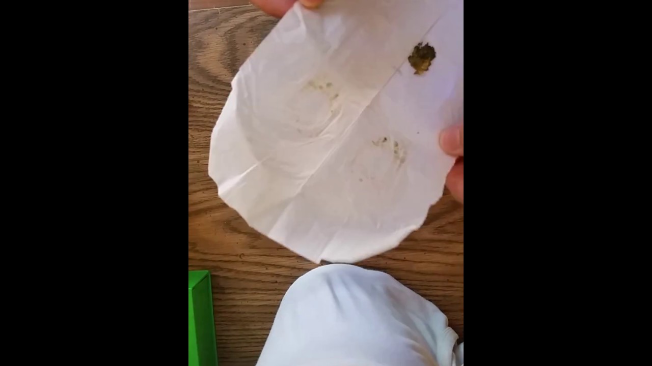 Tarik Rosin press (T-Rex) review