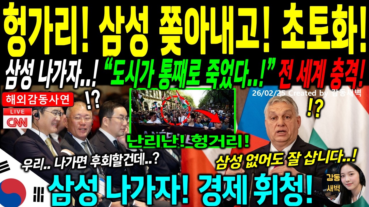 [해외감동사연] 삼성 건드린 헝가리의 처참한 결말, 중국마저 등 돌리자 경제 완전 붕괴