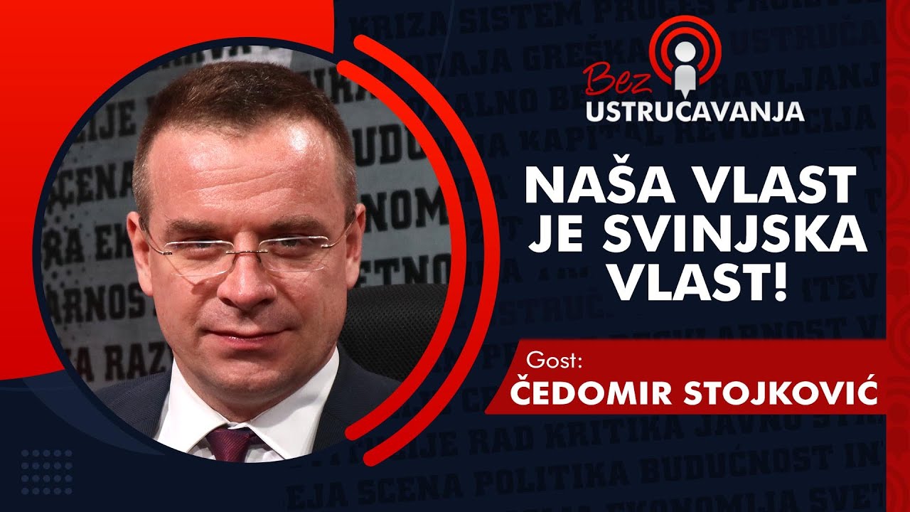 BEZ USTRUČAVANJA - Čedomir Stojković: Na&scaron;a vlast je svinjska vlast!
