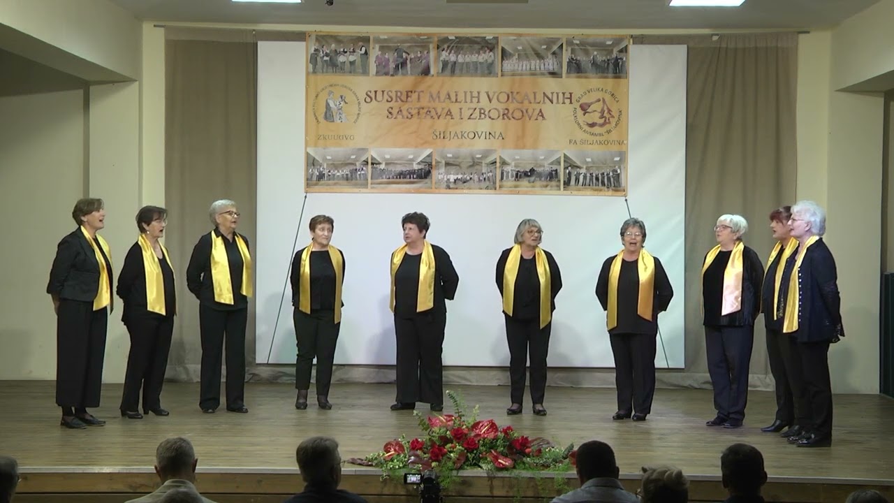 VOKALNA SKUPINA KUD – a „MIČEVEC“   OJ SAVICE