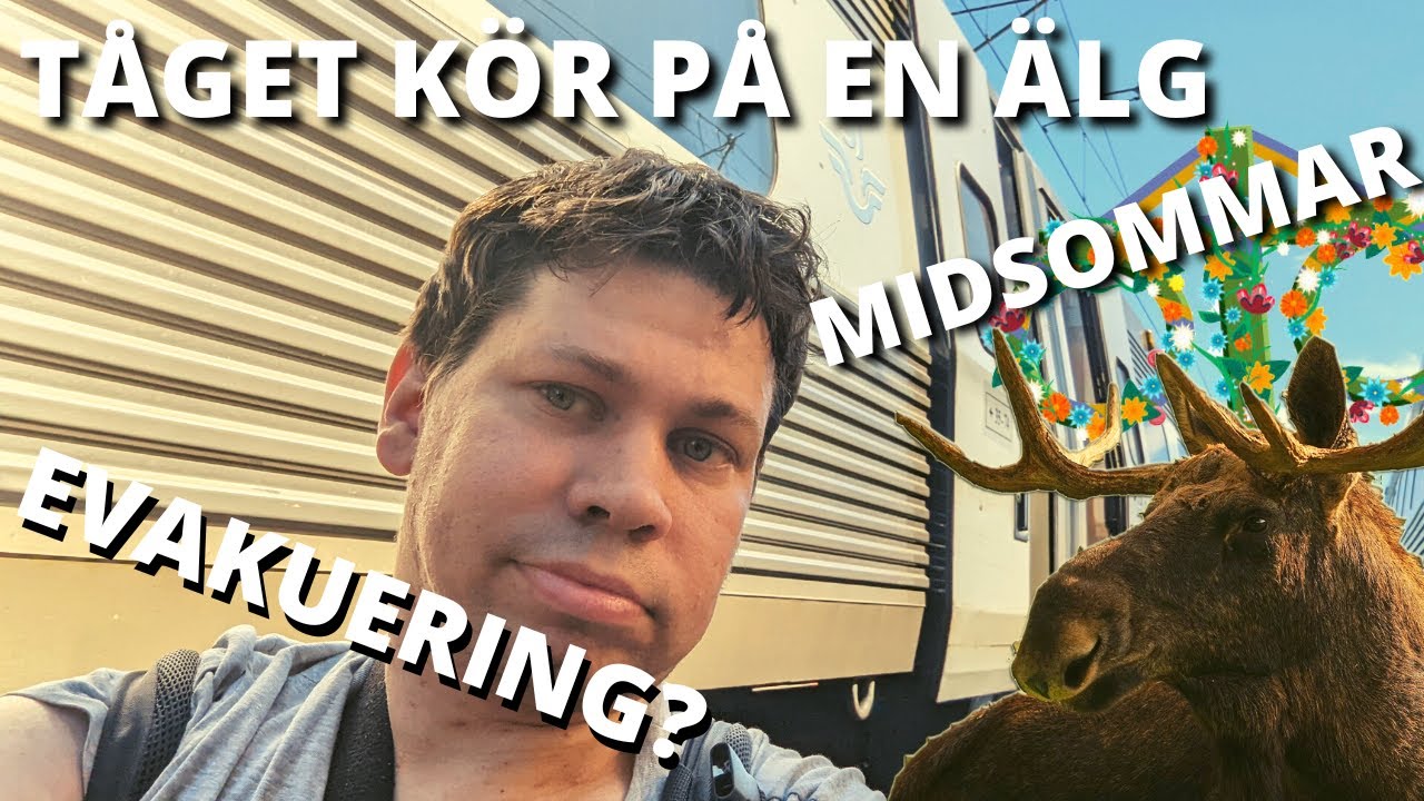 VLOGG | Tåget kör på en älg på midsommarafton, blir det evakuering? #4K