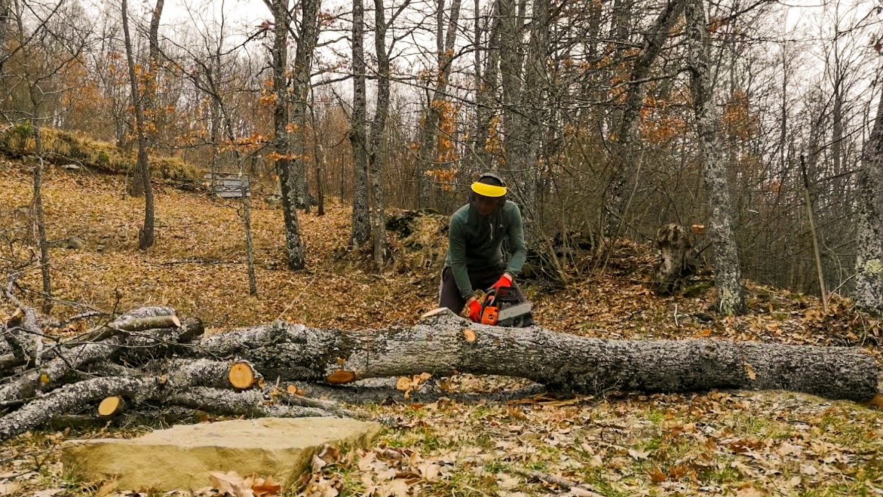 Qualche pianta in meno per un Frutteto in più