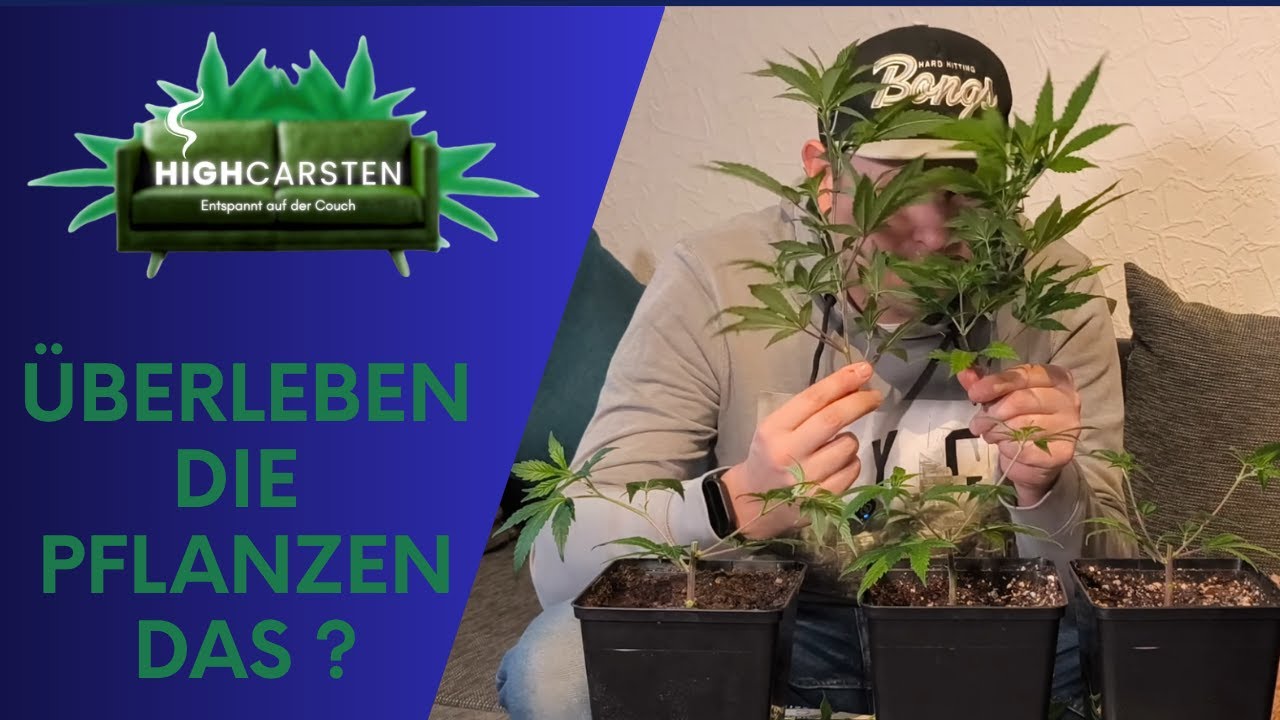 Das habe ich noch nie gemacht🌱 Extrem Getoppt f&uuml;r Mainlining🥦😉