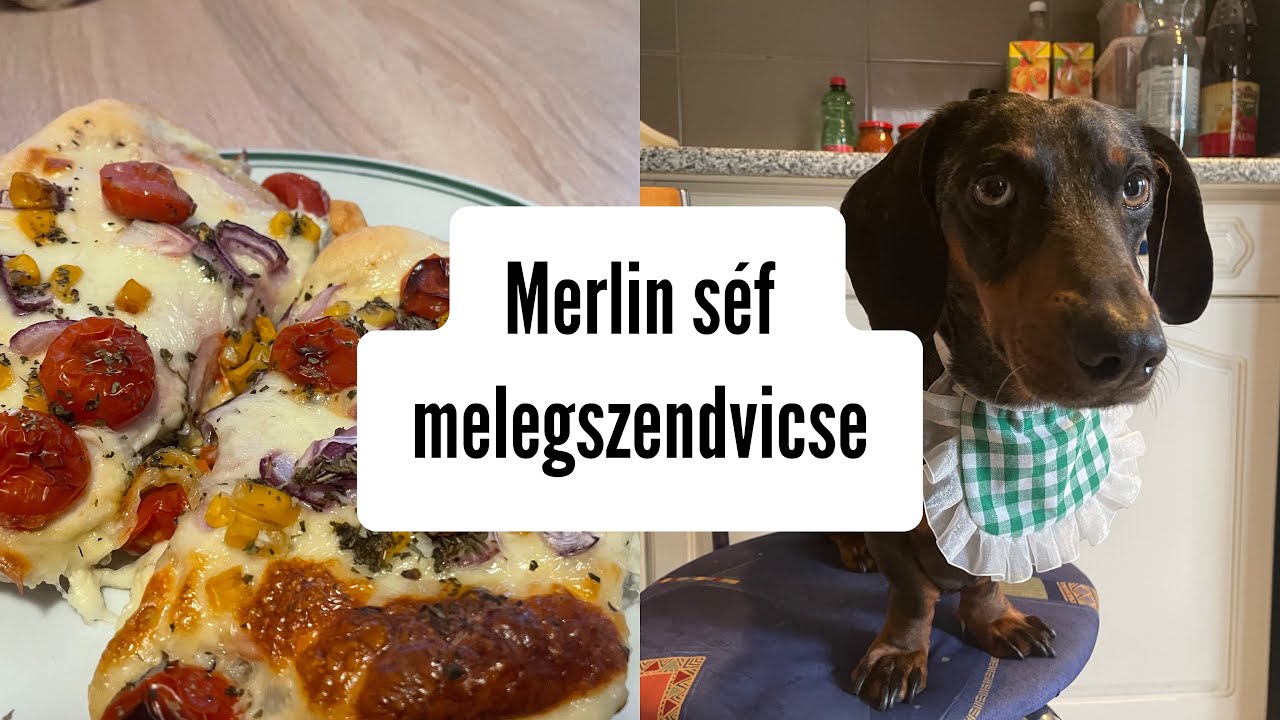 Merlin séf melegszendvicse