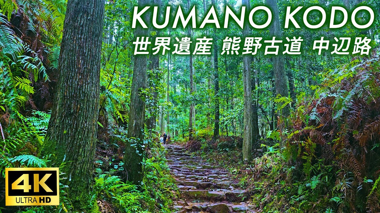【4K Japan Walk】Кумано Кодо под дождем: красивый пейзаж природы и истории