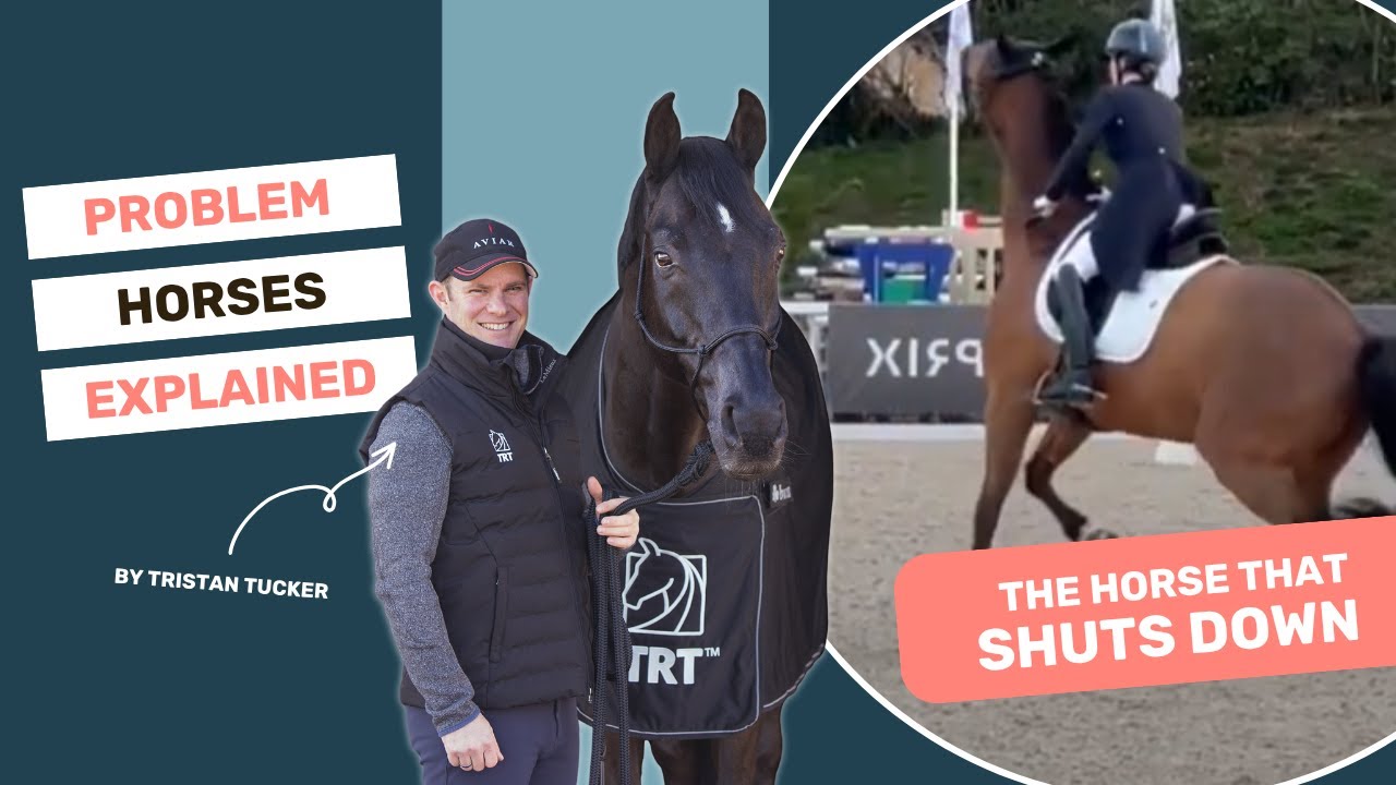 The horse that SHUTS DOWN | Problem Horses Explained | S1E1