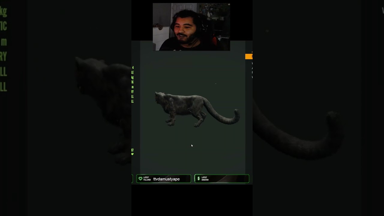 💎Diamond potential Melanistic Snow Leopard!!!#thehunter #cotw #twitch