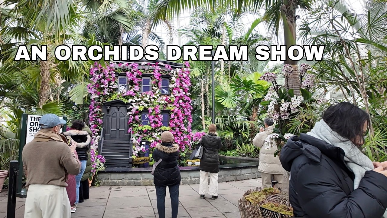 A World of Orchids | Mr. Flower Fantastic’s Concrete Jungle