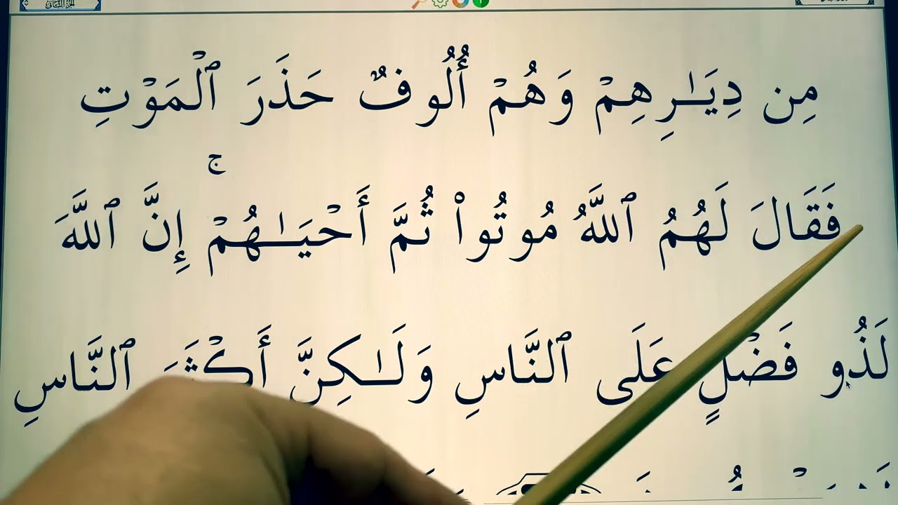 Quran for Beginners Lesson 104 Surat al Baqarah (ayah 241-244)