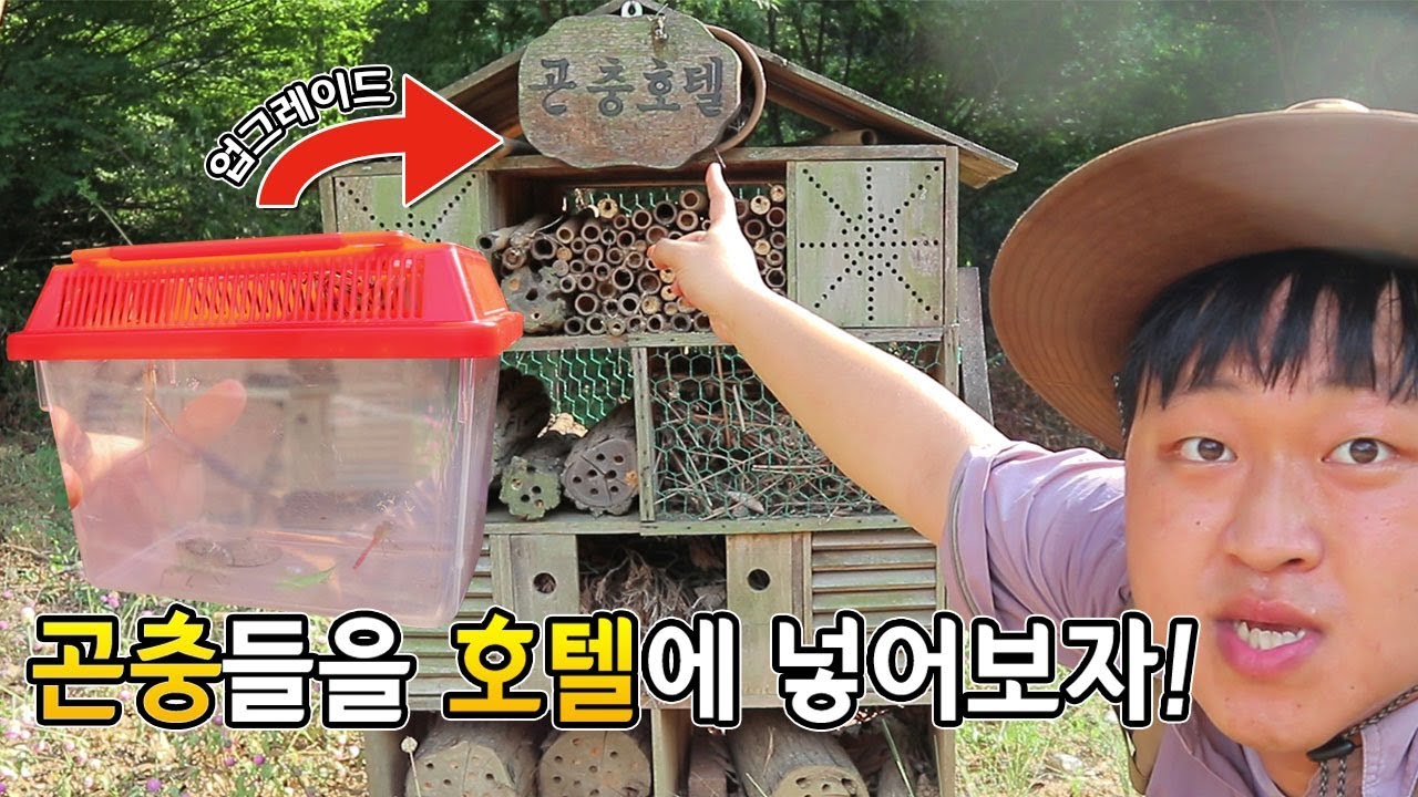 [도깨비] 곤충들을 채집해서 곤충호텔에 넣어보자!(곤충 종류별로 다잡았다~!!)