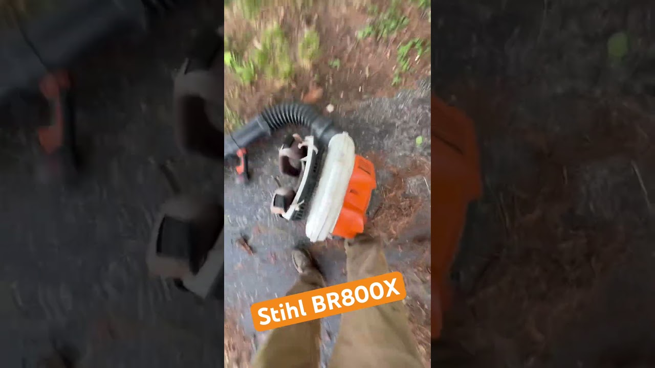 Stihl BR800X #stihl #equipment #diy #asmr #satisfying #lawncare #dayinthelife #mowing #real #life