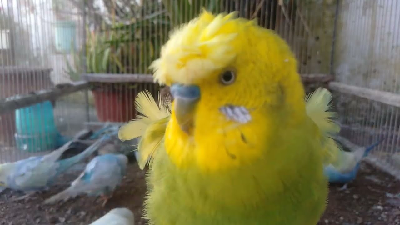 😳最初は信じなかった…でも結果がこれ