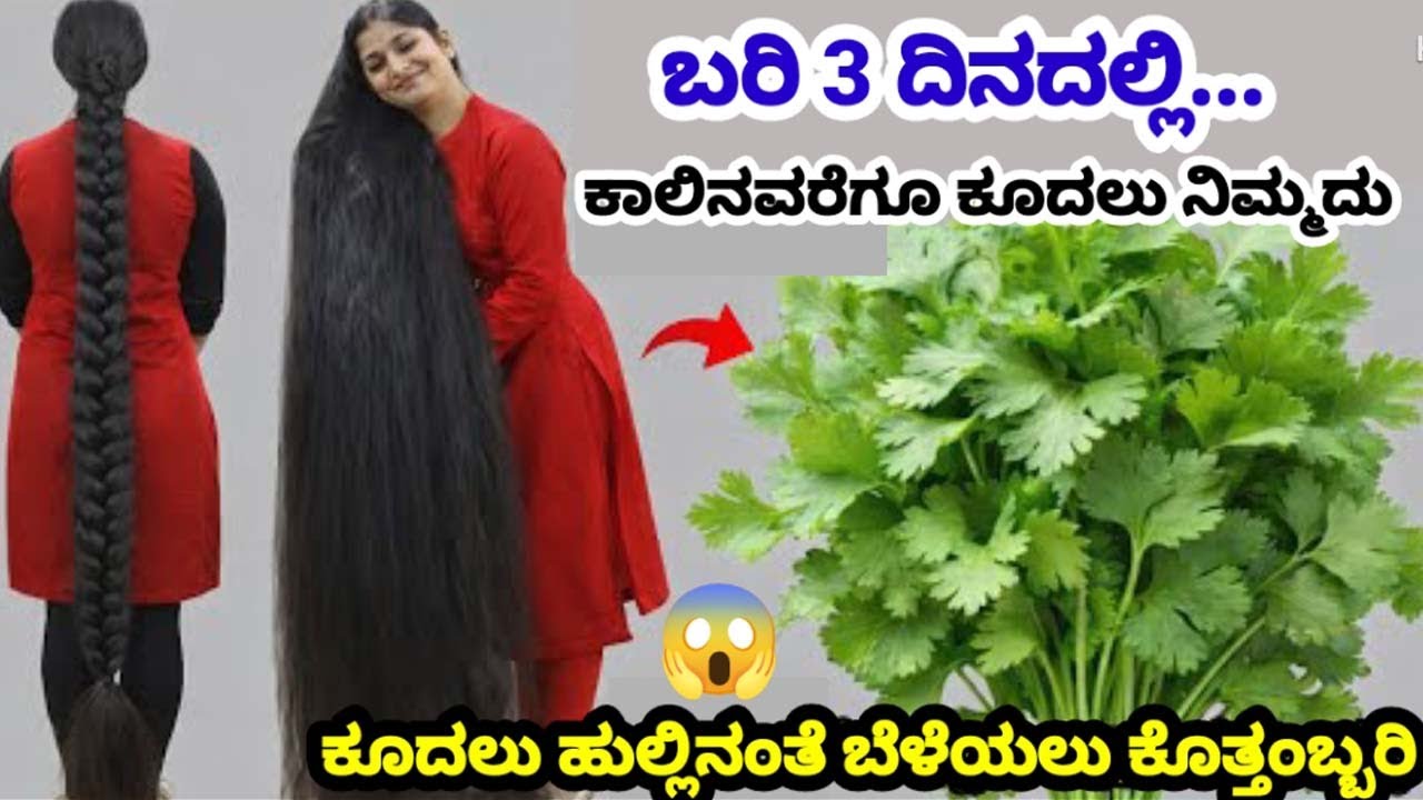 ಈ ಸೀಕ್ರೆಟ್ ವಸ್ತು ಕೊಬ್ಬರಿ ಎಣ್ಣೆಯಲ್ಲಿ ಬೆರೆಸಿ ಹಚ್ಚಿ 3 ದಿನದಲ್ಲಿ ಕೂದಲು ಹುಲ್ಲಿನಂತೆ ಕಾಲಿನವರೆಗೂ ಬೆಳೆಯುತ್ತೆ.