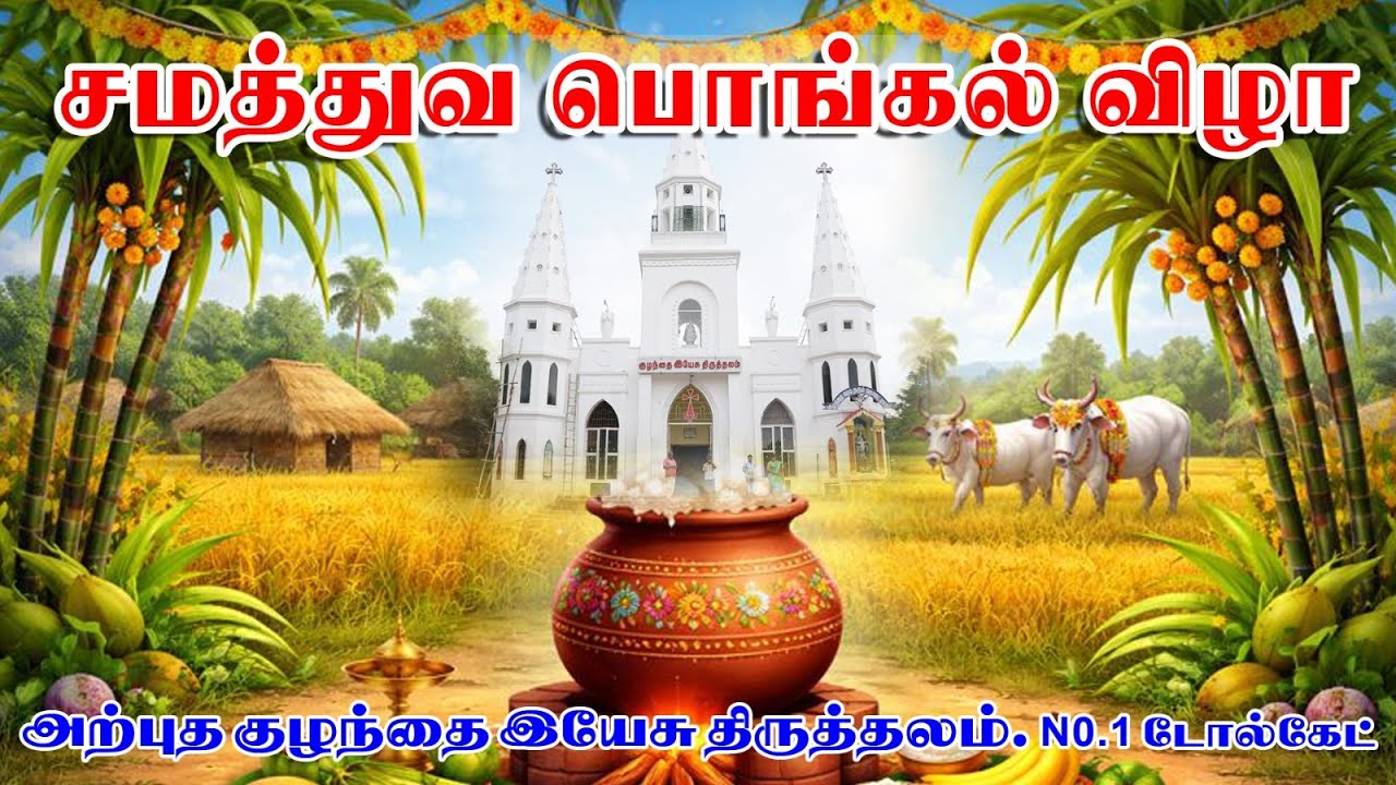 Pongal Fest 2026 / Holy Mother Tv