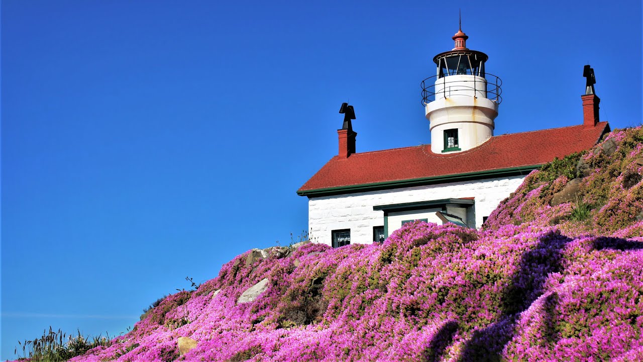 Del Norte County - CRESCENT CITY HIKE