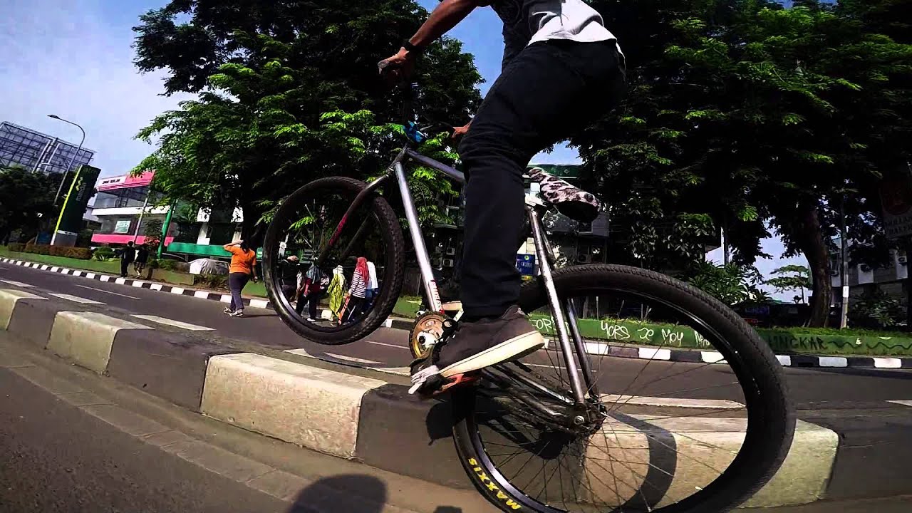 INDONESIA FGFS 2015 | CSF & BSW