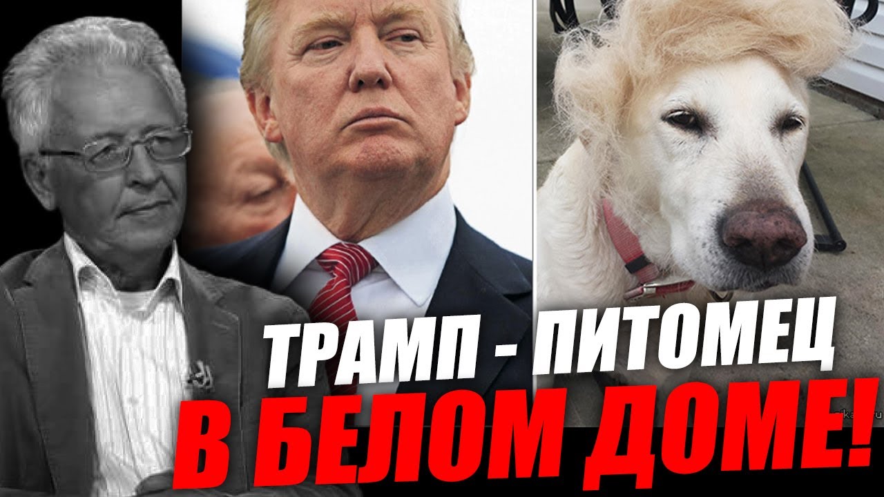 Белый дом, кнопка и хозяева денег: что на самом деле стоит за победой Трампа? Валентин Катасонов