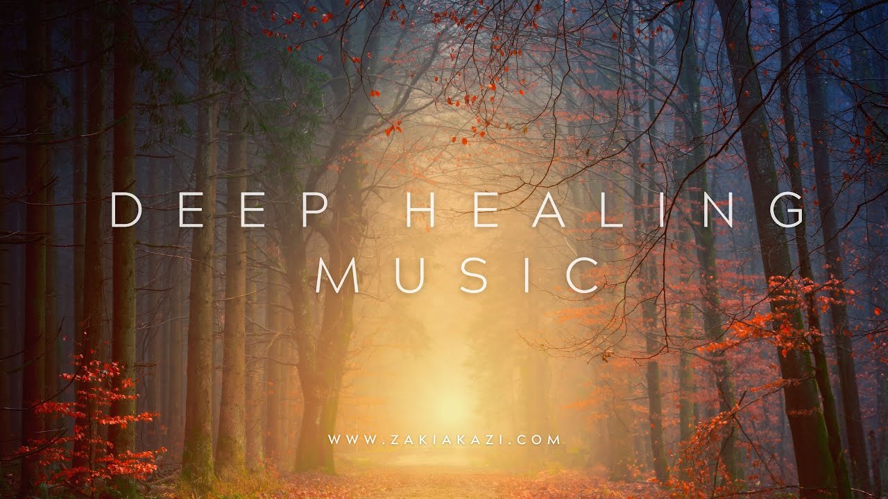 1 Hour deep healing music | Music for the soul | Forest walk |Meditation music