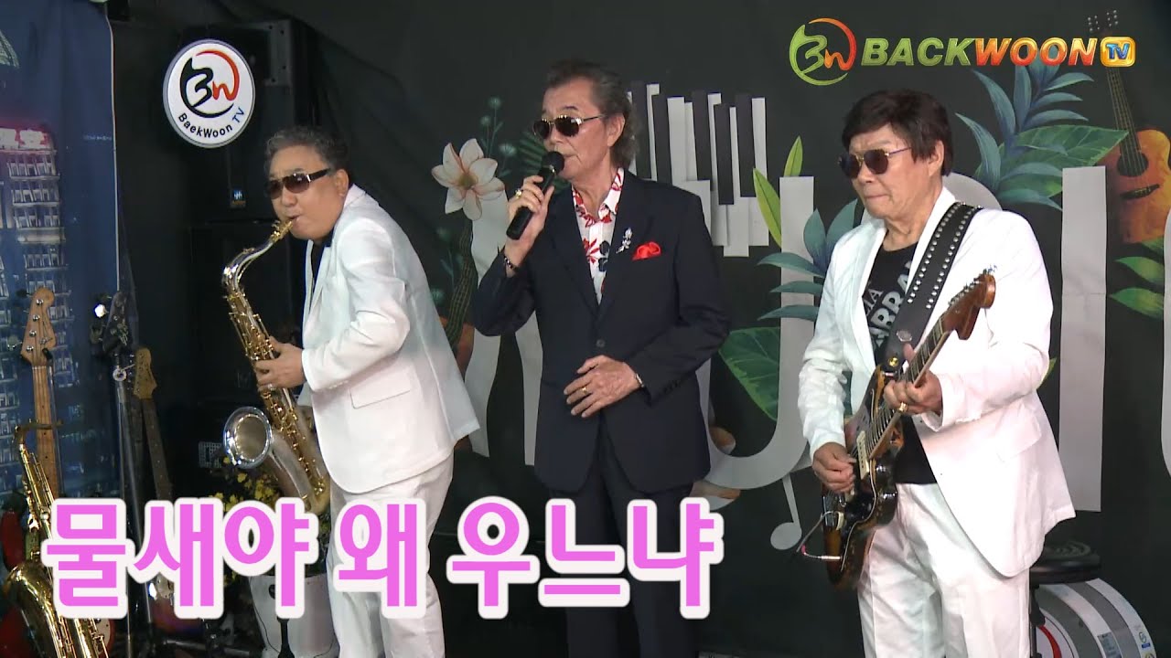 손인호 - 물새야 왜 우느냐 가수 이영조 색소폰 장진수 기타 임영수  백운 tv