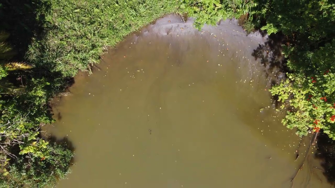 1 10 26 San Sebastian PR Farm 3