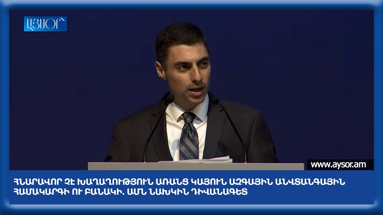Հնարավոր չէ խաղաղություն առանց կայուն ազգային անվտանգային համակարգի ու բանակի. ԱՄՆ նախկին դիվանագետ