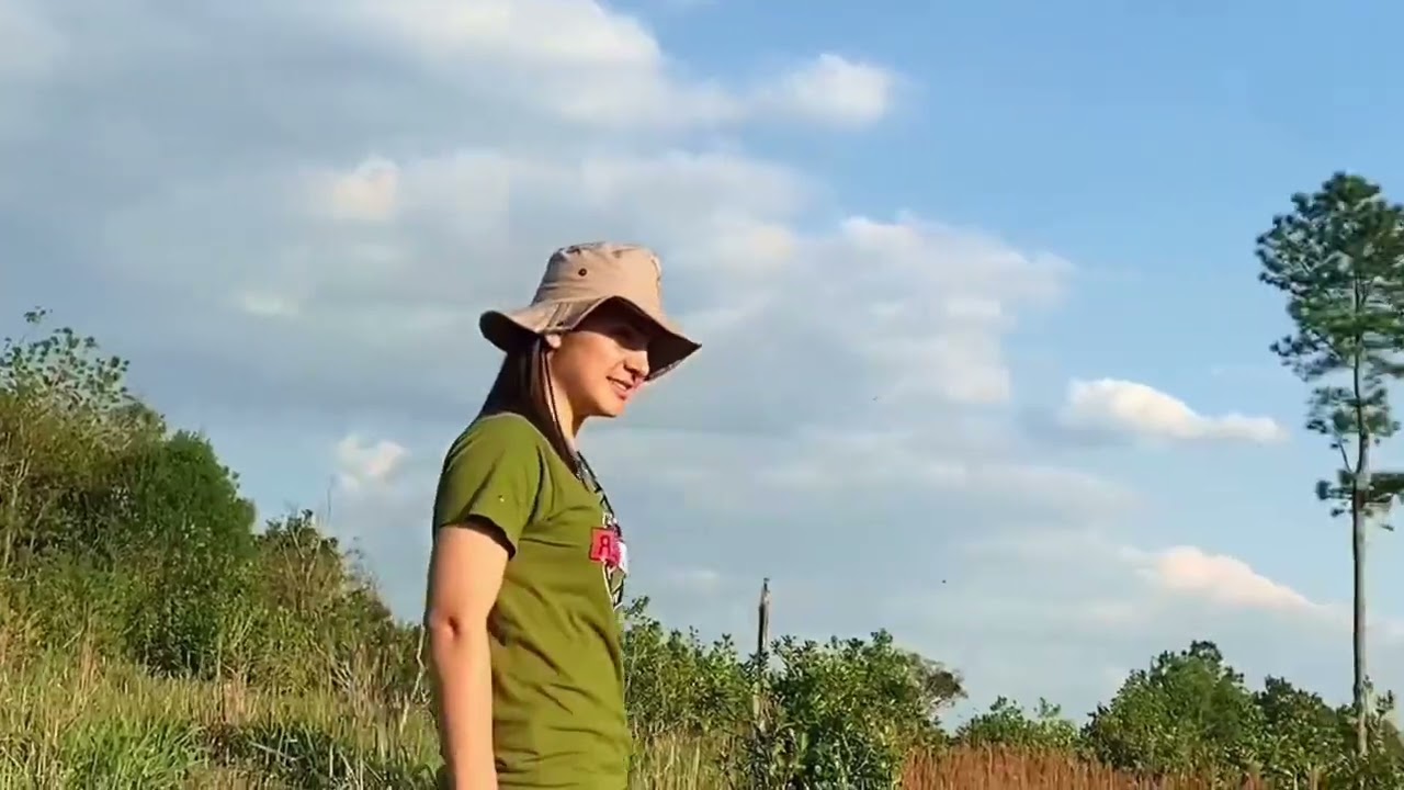 25 HECTAREAS EN SAN VICENTE MISIONES
