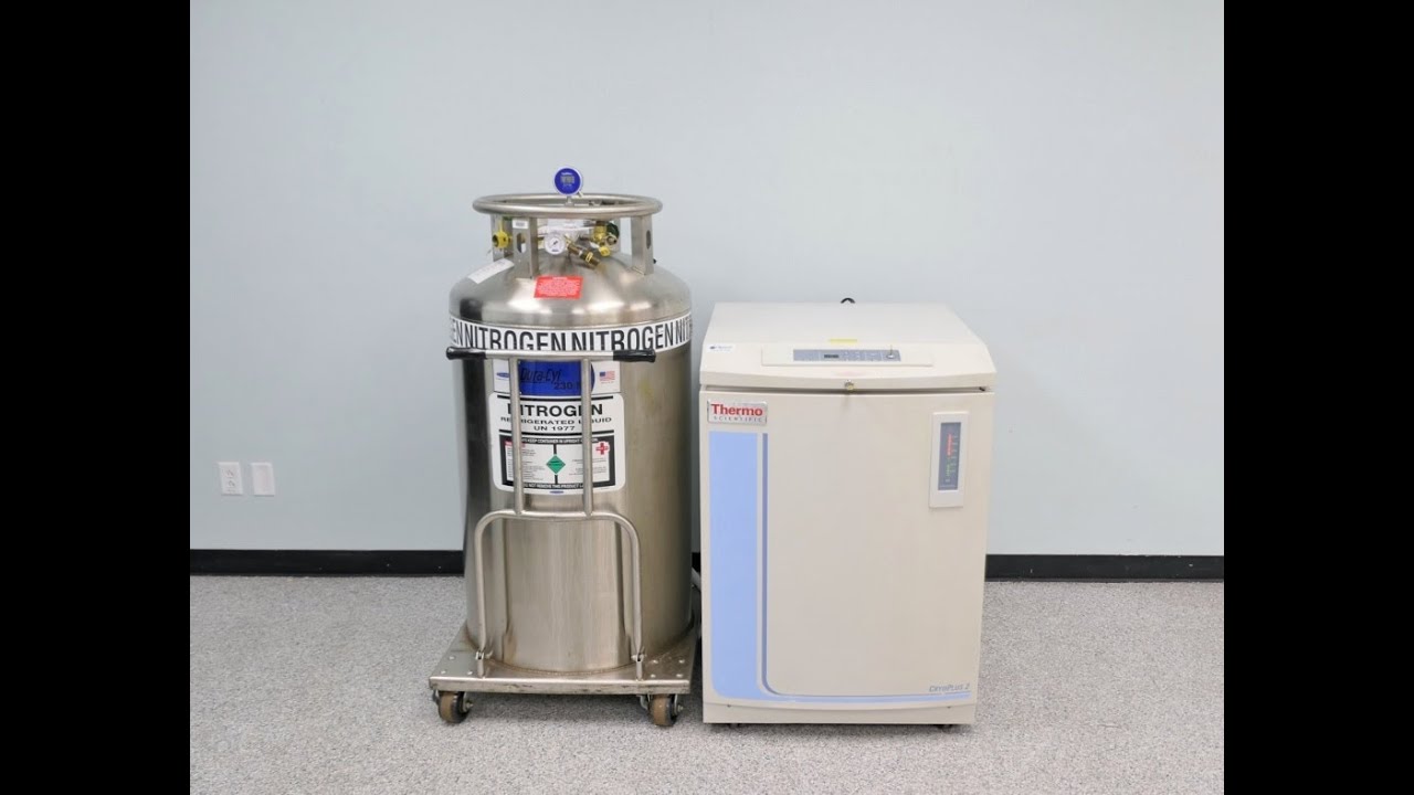 Thermo Cryoplus 2 Cryo Storage System ID 15289