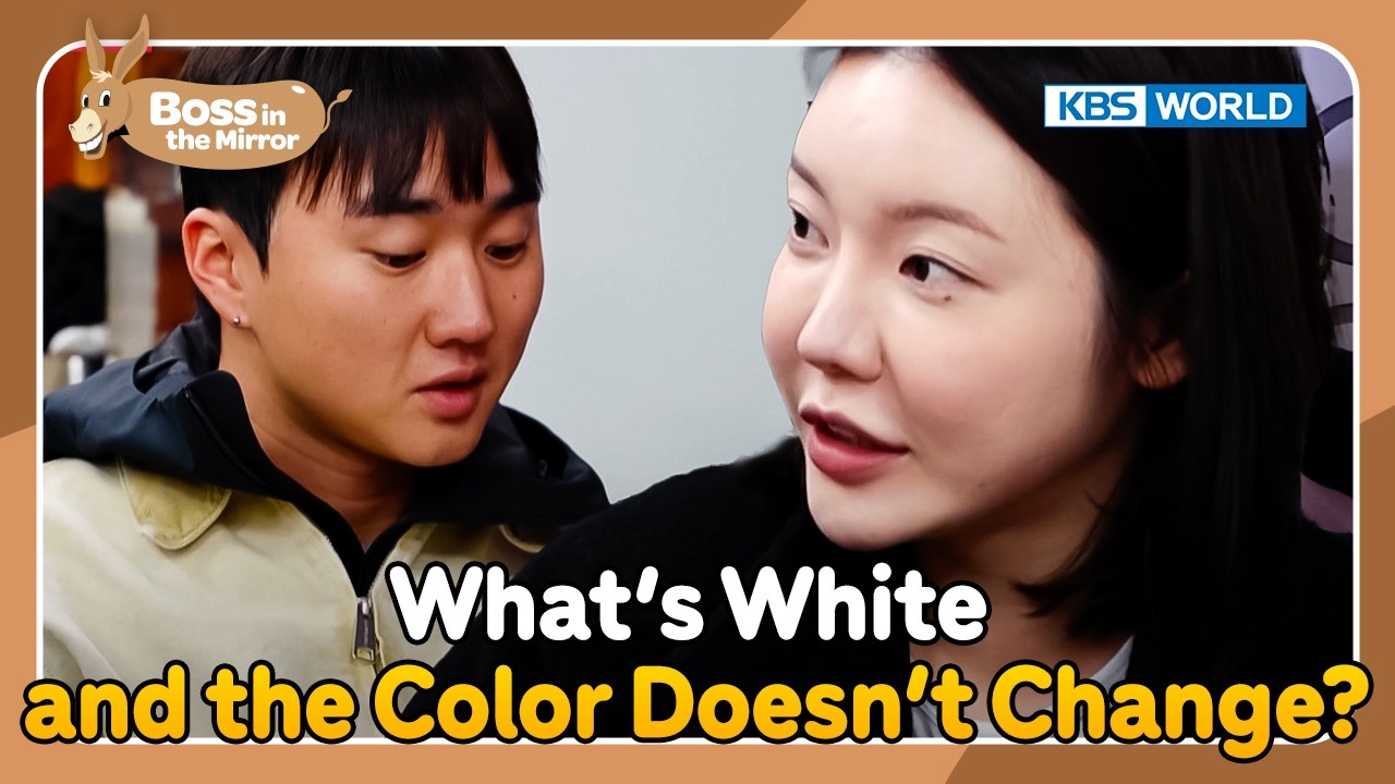My Boss is a Question Ninja🥷 [Boss in the Mirror Ep343-5] | KBS WORLD TV 260221