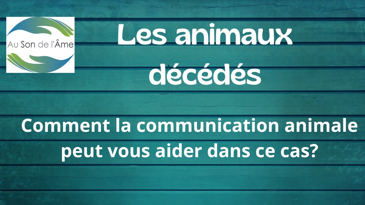 Les animaux décédés