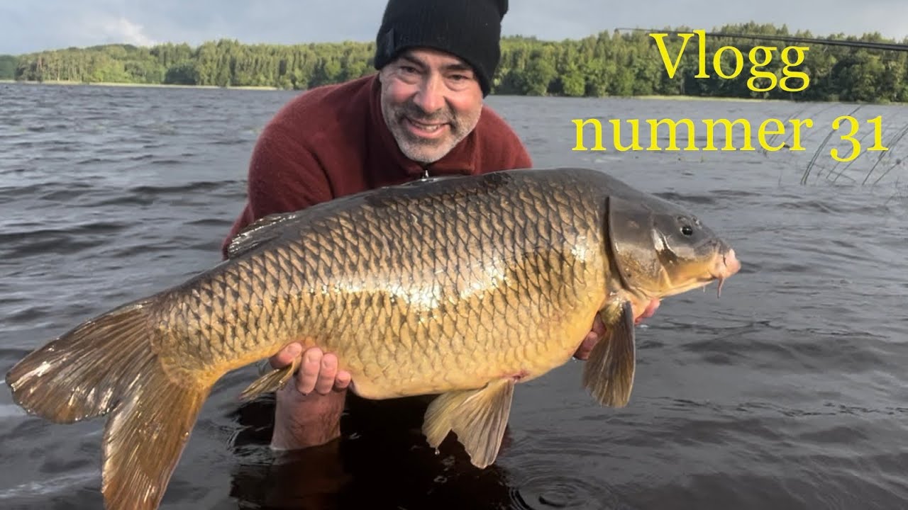 Vlogg nummer 31