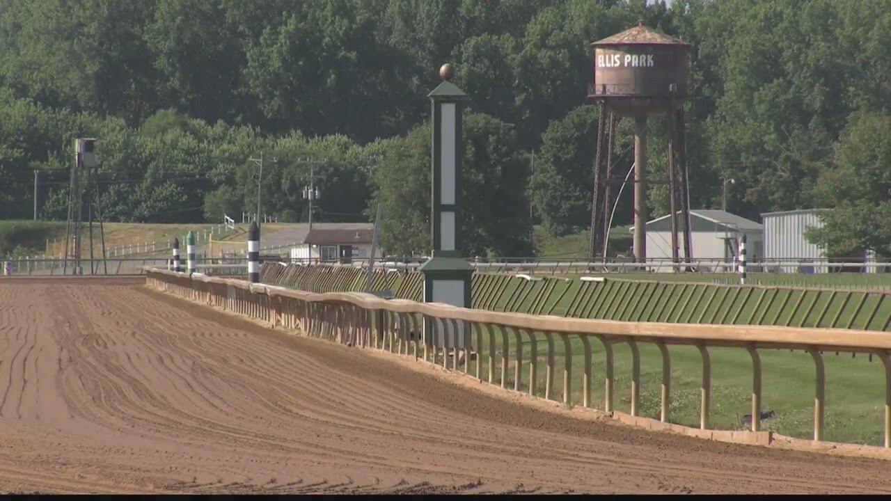 Horse euthanized after race at Ellis Park
