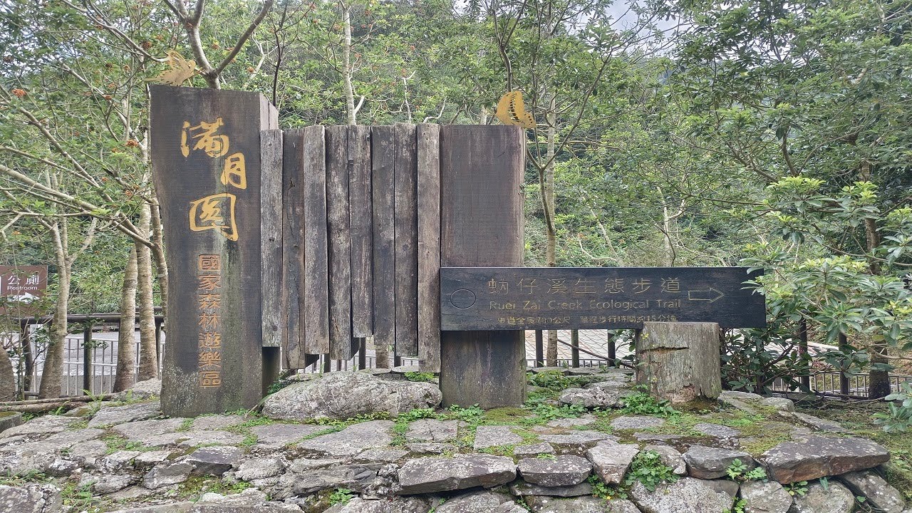 三峽滿月圓一日遊--巧遇藍腹鷴