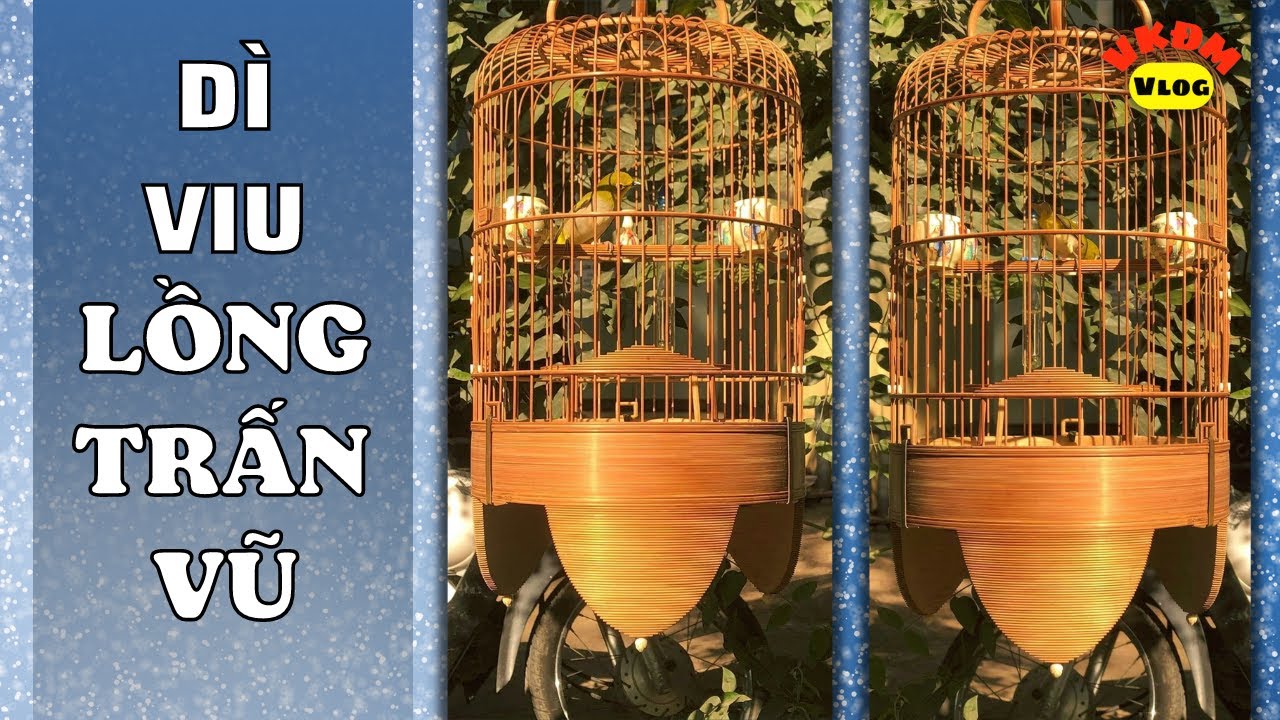 Review lồng Trấn Vũ | VKĐM